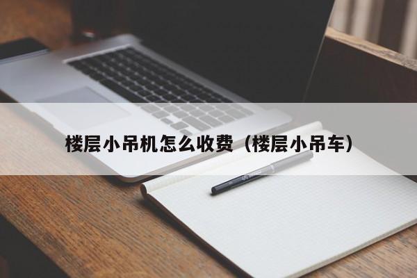 楼层小吊机怎么收费（楼层小吊车）  第1张