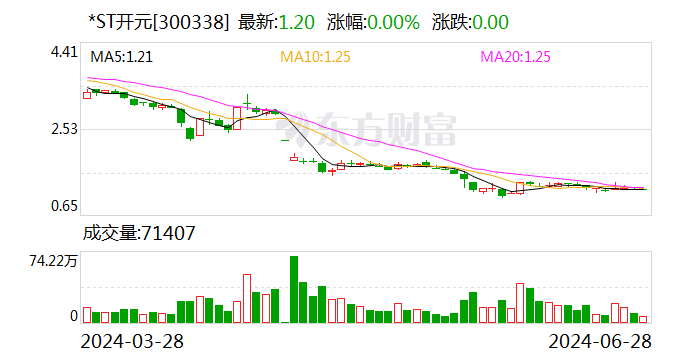 *ST开元：公司被债权人申请重整及预重整